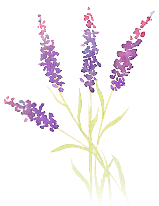 sprigs_lavender